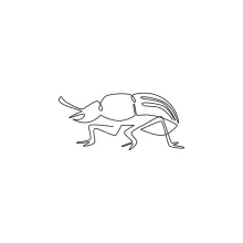 One-Line Cute Beetle Drawing: Simple Art to Understand Symmetry in Insects