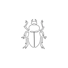 One-Line Beetle Drawing for Beginners: Practice Symmetry with Simple Shapes
