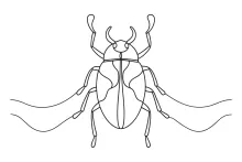 One-Line Beetles Drawing: Practice Symmetry and Shape with Simple Insect Forms