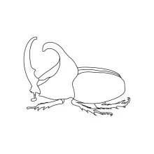 Simple One-Line Beetle Art: Practice Balance and Body Shape with Minimal Detail