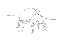 One-Line Beetle Drawing: Practice Round Shapes and Insect Balance
