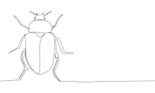 One-Line Bug Drawing: Explore Basic Body Shapes with Easy Drawing Practice