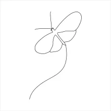 Learn to Draw a Butterfly with One Line: A Relaxing and Easy Insect Art Activity