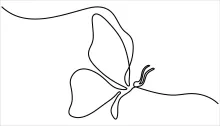 Simple Line Butterfly Drawing: Perfect for Practice and Quick Sketching