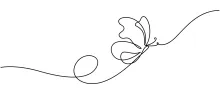 Flying Butterfly Drawing in One Line: Learn Motion and Shape with a Simple Technique