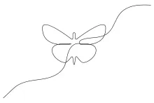 Learn to Draw a Butterfly with One Line: Simple Nature Art for Everyone