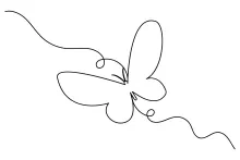 Butterfly Line Drawing for Beginners: Use One Line to Create Peaceful Insect Art