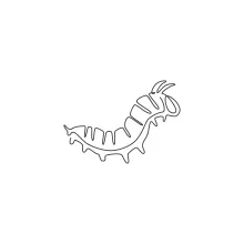 One-Line Caterpillar Drawing: Simple Shapes to Learn Segment and Flow