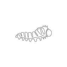 Cute Caterpillar in One Line: A Simple Way to Learn Body Segments in Drawing