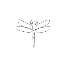 Elegant Dragonfly in One Line: A Simple Art Activity for Observation Skills