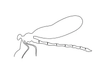 Simple One-Line Cute Dragonfly: Practice Fun Shapes with Easy Drawing Steps