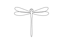Cute Dragonfly in One Line: Fun Drawing for Exploring Insect Shapes Easily