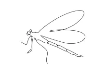 Simple Cute Dragonfly Drawing: Learn to Balance Wing and Body in One Line