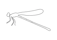 Easy One-Line Cute Dragonfly: Fun Practice with Basic Shapes and Insect Balance