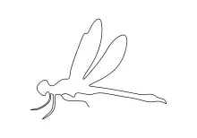 Cute Dragonfly Drawing in One Line: Simple Symmetry for Young Artists