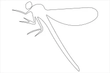 Practice Drawing a Dragonfly in One Line: Build Confidence with Basic Shapes
