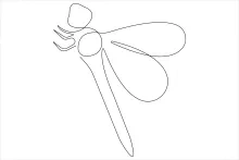 One-Line Dragonfly: Practice Clean Shapes and Build Drawing Focus Easily