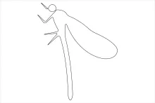 Easy One-Line Dragonfly Drawing: Perfect for Learning Balanced Insect Forms