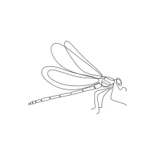 Easy One-Line Dragonfly Sketch: Discover Insect Proportions Through Minimal Art