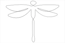 Single-Line Dragonfly Drawing: Practice Observation Through Minimal Insect Design