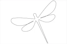Dragonfly in One Line: Build Confidence Through Basic Insect Drawing Practice