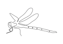 Dragonfly One-Line Drawing: Sharpen Artistic Focus with Basic Shapes