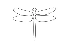 One-Line Dragonfly Drawing: Build Confidence Through Simple Wing and Body Practice