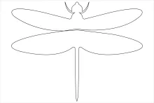 Simple Dragonfly Drawing in One Line: Great Practice for Insect Symmetry