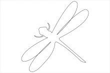Simple One-Line Dragonfly Drawing: Learn Wing and Body Balance with Ease
