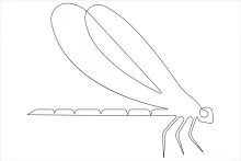 Easy One-Line Dragonfly Sketch: Explore Basic Insect Form and Drawing Precision
