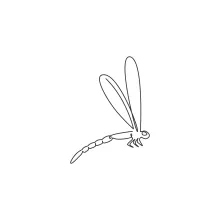 One-Line Dragonfly Drawing: Discover Balance and Shape with Minimal Tools