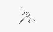 Easy One-Line Dragonfly Art: Discover Symmetry with Simple Drawing Practice