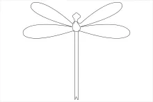 Easy Dragonfly Drawing in One Line: Develop Drawing Control with Insect Symmetry