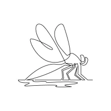 Easy One-Line Dragonfly Drawing: Study Insect Wings and Proportion Balance