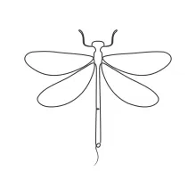 Dragonfly One-Line Drawing: Simple Art to Learn Line Balance and Shape Placement