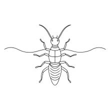 Earwig in One Line: Discover Insect Shape with a Simple Drawing Practice