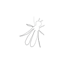 One-Line Fly Drawing: Simple Exercise to Learn Proportions and Body Parts