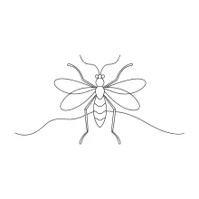 Tsetse Fly in One Line: Build Focus with a Simple Winged Insect Drawing