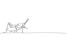 One-Line Grasshopper Drawing: Practice Movement and Shape with Simple Lines