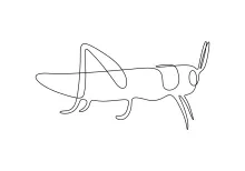 Grasshopper in One Line: Strengthen Shape Control with a Clear Insect Drawing