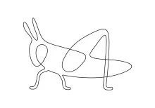 One-Line Grasshopper Sketch: Study Structure and Simplification in Insect Drawing