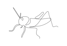 One-Line Grasshopper Drawing: Learn Insect Anatomy with Simple Line Control