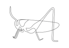 Simple Grasshopper Drawing in One Line: Learn to Draw Motion and Proportion