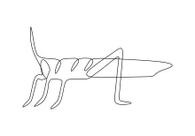 Grasshopper Drawing in One Line: Explore Natural Forms Through Simple Shapes
