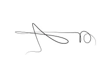 One-Line Grasshopper Drawing: Learn Form Length and Leg Position Simply