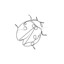 Easy Ladybug One-Line Drawing: A Fun Way to Start Drawing Insects