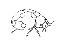 Ladybug in One Line: Perfect Practice for Round Shapes and Proportion Control