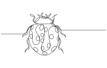 Adorable Ladybug in One Line: Learn to Draw Round Insects with Confidence