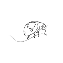Simple Ladybug in One Line: Learn Curved Shapes Through Easy Drawing