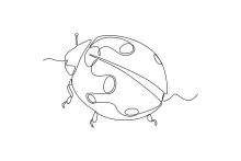 One-Line Ladybug Drawing: Easy Way to Learn Shape and Proportion in Insects